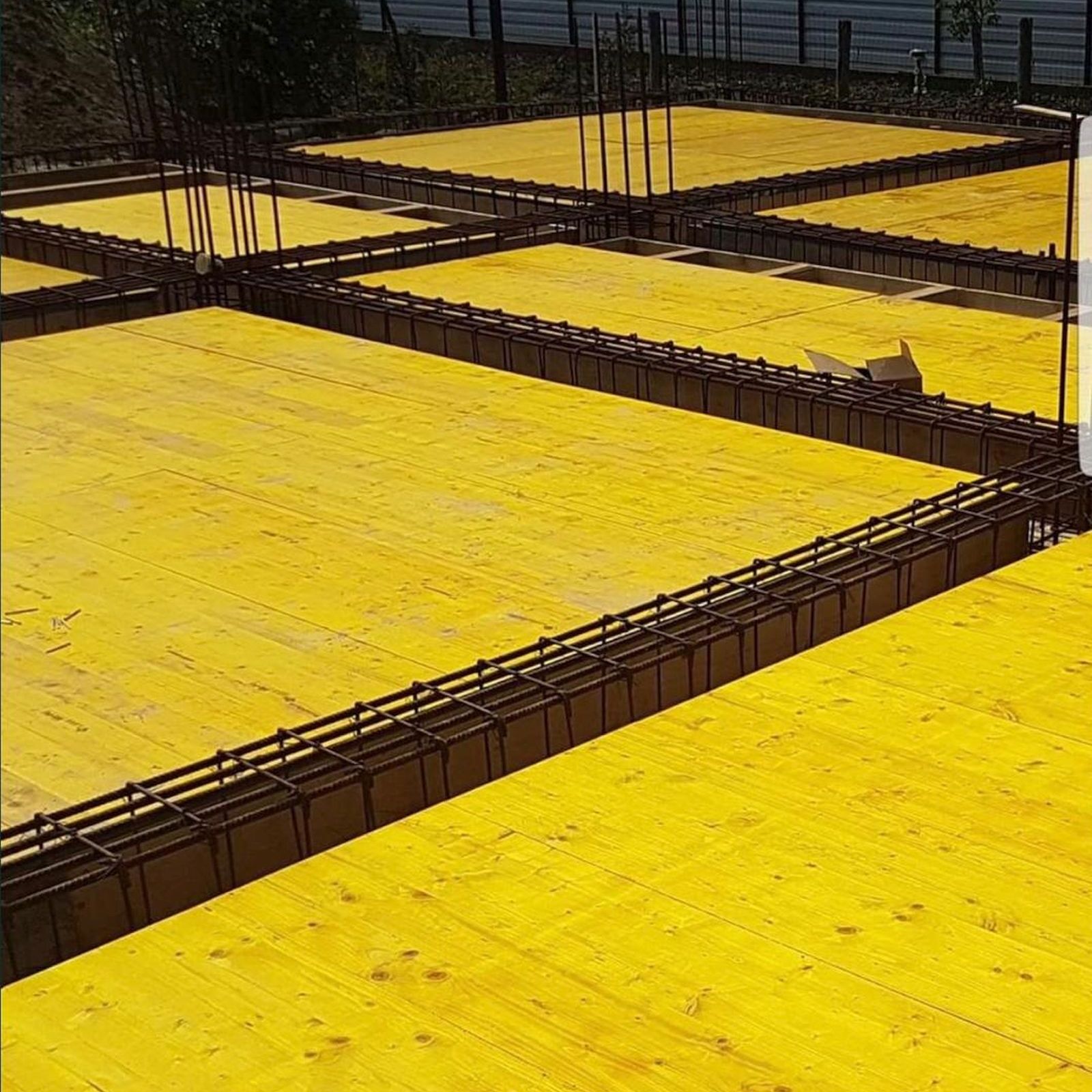 WhatsApp Image 2026-01-24 at 19.40.23